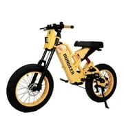 Rundeer Attack10 750W 48V 20Ah Off Road Electric Bike