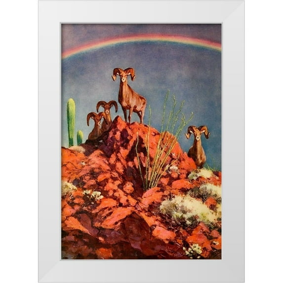 Rungius, Carl 23x32 White Modern Wood Framed Museum Art Print Titled - Bighorn Sheep on Rocks