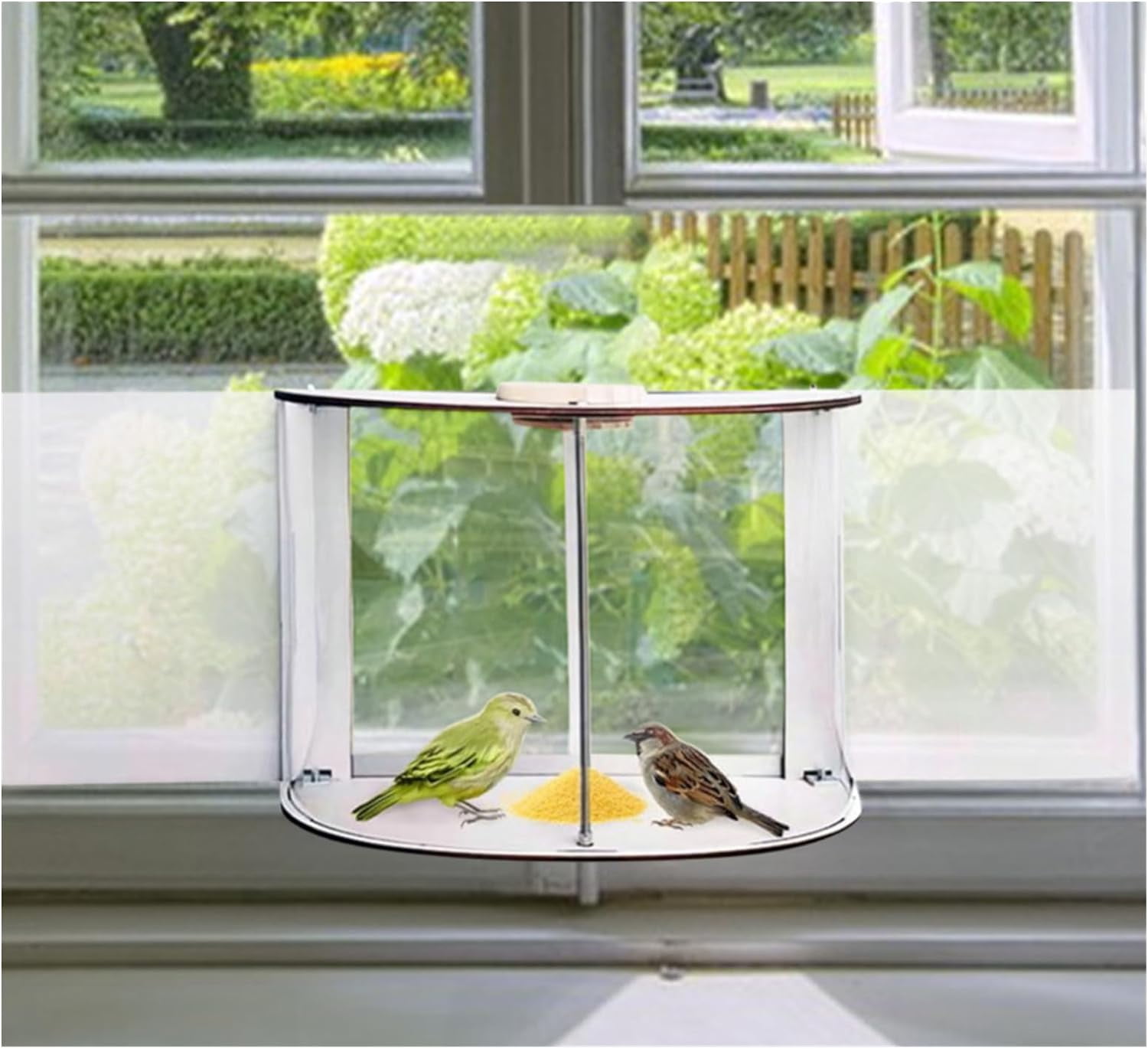 Rungungde Clear View Window Tray Bird Feeder - 360° Clear View Bird ...