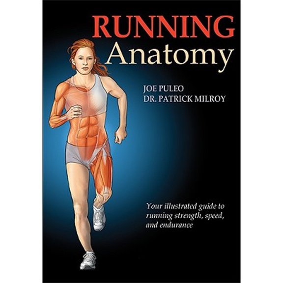 Pre-Owned Running Anatomy (Paperback) 0736082301 9780736082303