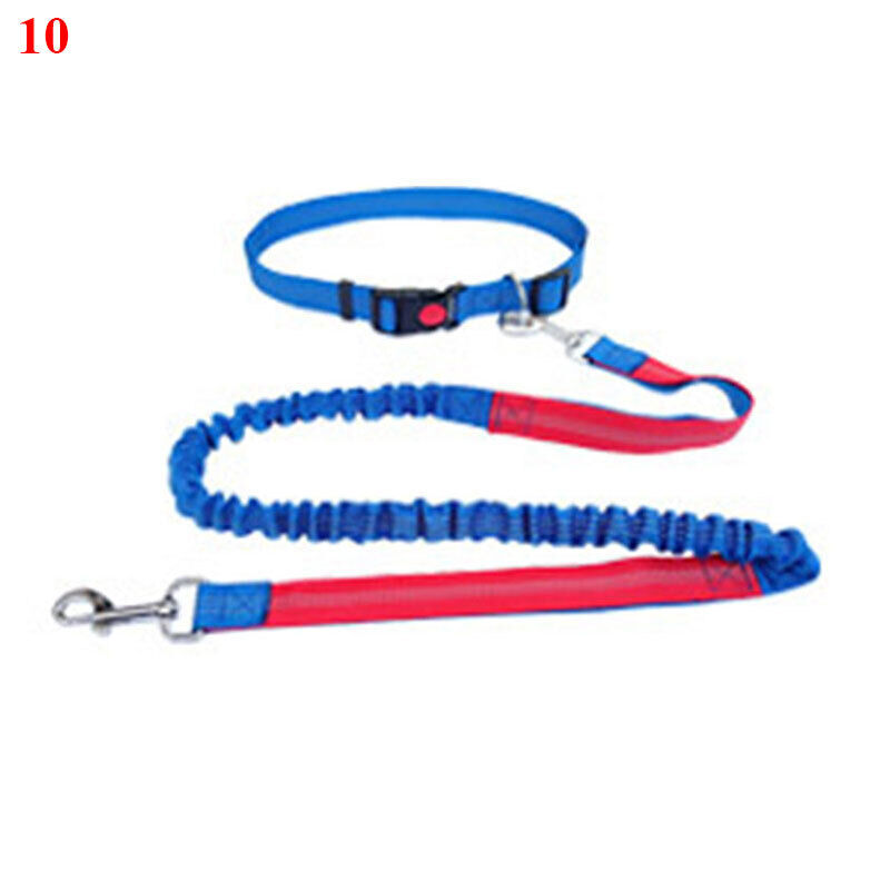 Running Belt Bungee Handsfree Dog Lead Jogging Leashes Strong Clip