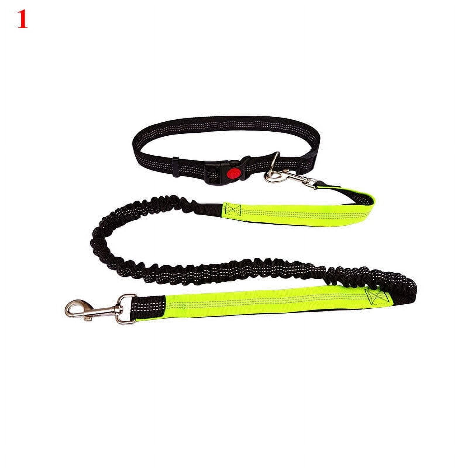 Running Belt Bungee Handsfree Dog Lead Jogging Leashes Strong Clip