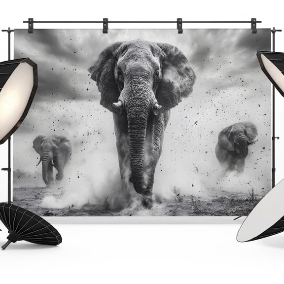 Running Elephant Photography Backdrop 7x5FT, Animal Cool Photo Backdrops, Background for Photography Studio Photo Studio Background, Back Drop for Photoshoot