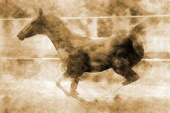 Running Foal Sepia I Canvas Art - Kari Brooks (12 x 18)