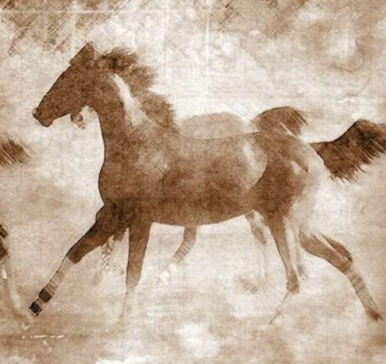 Running Foal Sepia II Canvas Art - Kari Brooks (24 x 24)