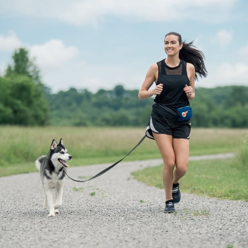 Waist Belt/Hands- Free Leash
