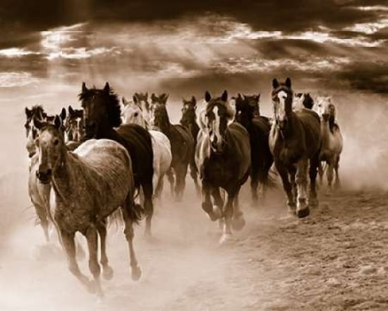 Running Horses Canvas Art - Monte Nagler (24 x 30)