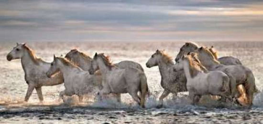 Running Horses Canvas Art - Xavier Ortega (10 x 20)