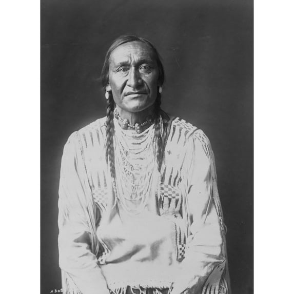 Running Owl Poster Print