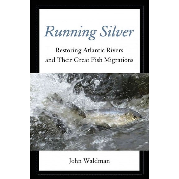 Running Silver : Restoring Atlantic Rivers And Their Great Fish Migrations (Hardcover)