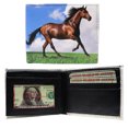 thumbnail image 1 of Running Stallion Horse Thoroughbred Image Leather Bi-Fold Bifold Wallet, 1 of 7