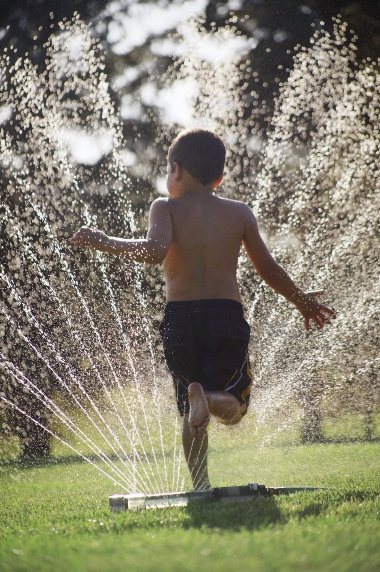 Running Through The Garden Sprinkler Canvas Art - Kelly Redinger Design Pics (11 x 17)