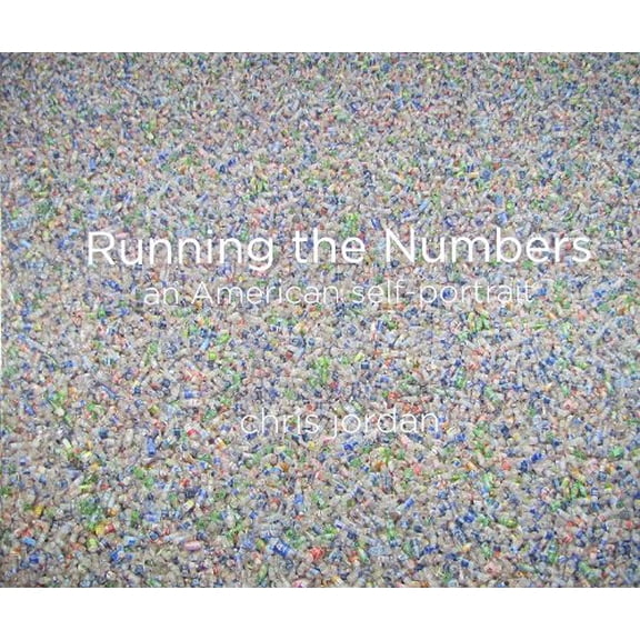 Pre-Owned Running the Numbers: An American Self-Portrait (Hardcover) 0975566253 9780975566251
