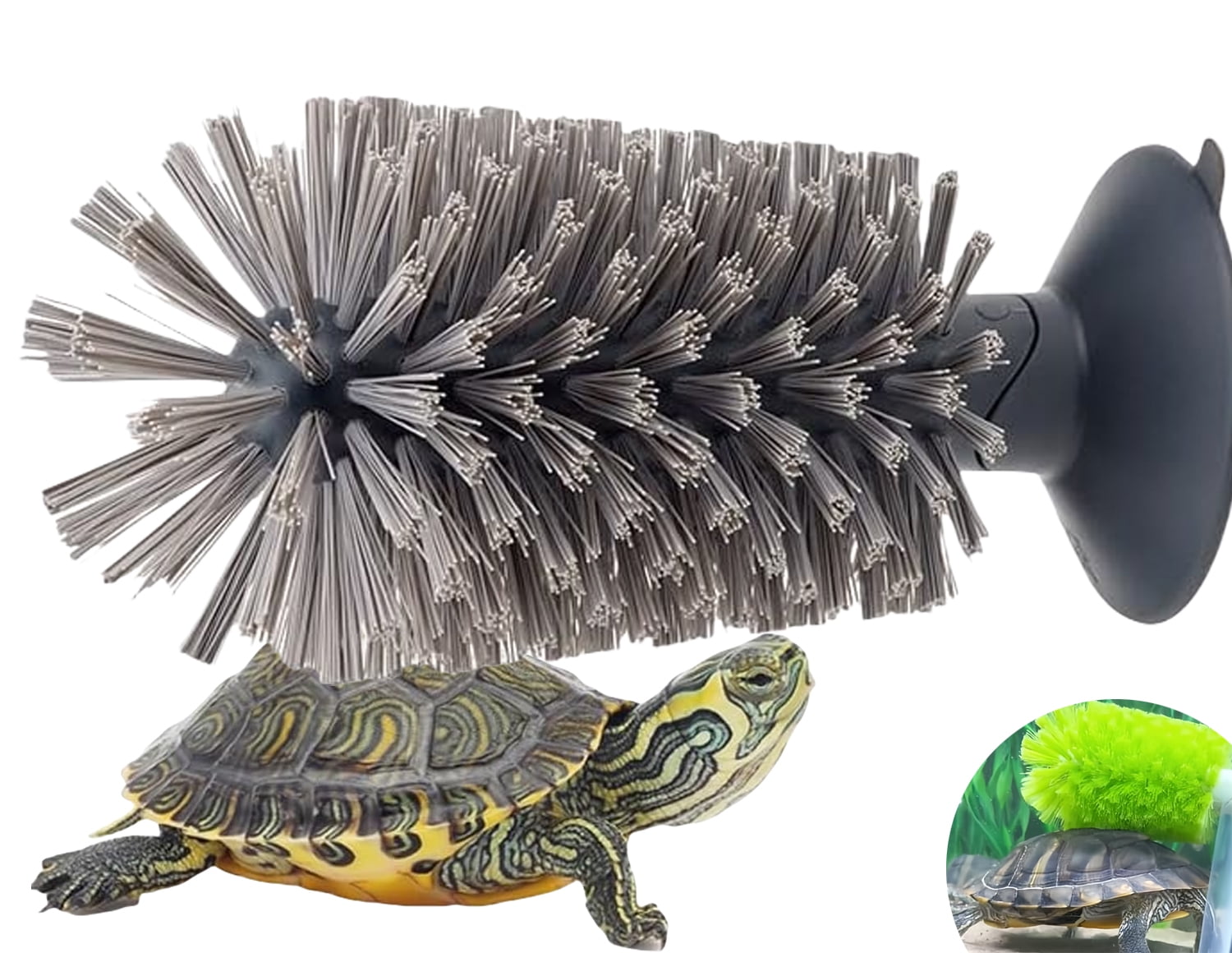 Runspich Turtle Shell Scrub Bristle Brush With Suction Cup,Aquatic ...