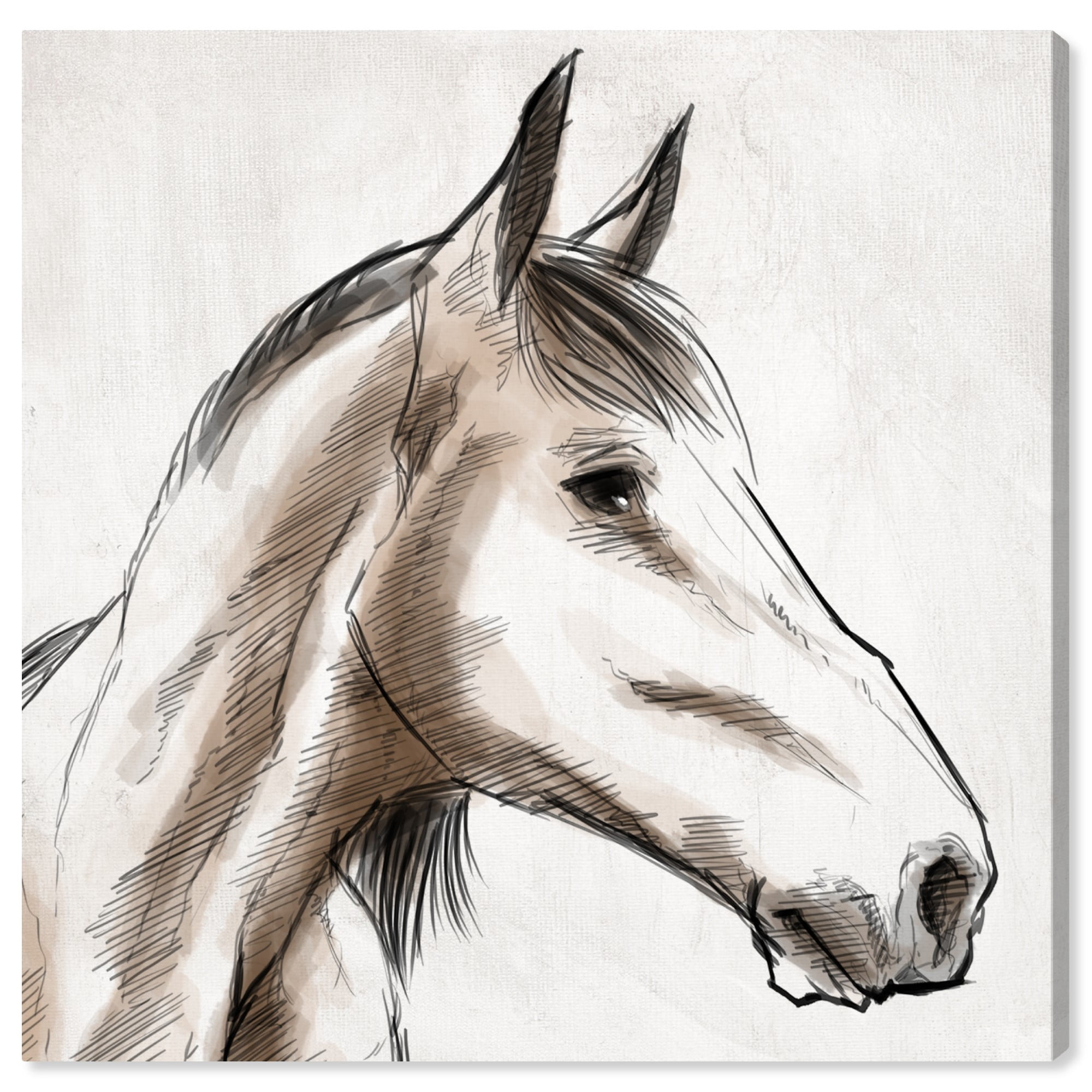 Horse Head Drawing - Create a Majestic Horse Head Sketch