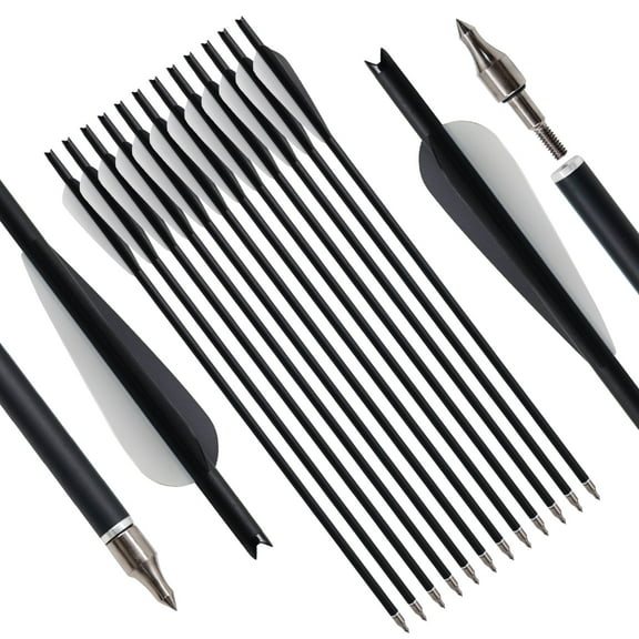 Runzkzy 12pcs 20inch Mixed Carbon Crossbow Arrows for Hunting and Outdoor Practice