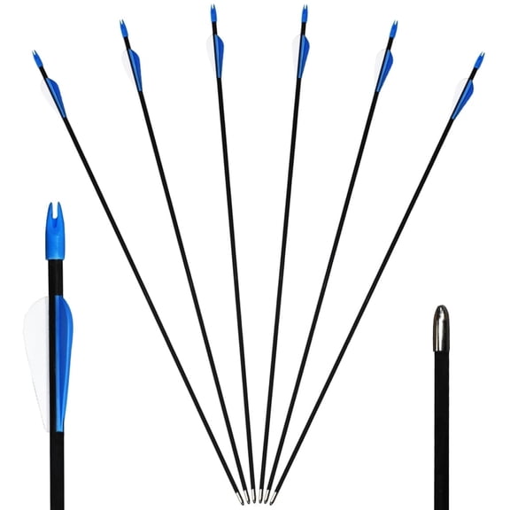 Runzkzy 29inch Fiberglass 6/12 PCS Archery and Hunting Arrows Combined with Recurve Bows and Arrows