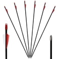 thumbnail image 1 of Runzkzy 29inch Fiberglass 6/12 PCS Archery and Hunting Arrows Combined with Recurve Bows and Arrows, 1 of 13
