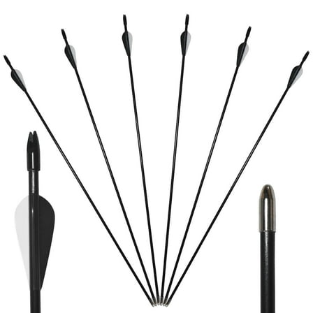Runzkzy Metal Arrows 29 inch 6/12PCS Hunting Arrows for Bow Compound Recurve and Traditional Bows