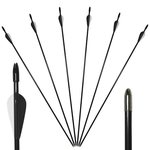 Runzkzy Metal Arrows 29 inch 6/12PCS Hunting Arrows for Bow Compound Recurve and Traditional Bows