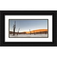 thumbnail image 1 of Ruoppolo, Luigi 14x8 Black Ornate Wood Framed with Double Matting Museum Art Print Titled - Namibian Desert, 1 of 4