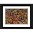 thumbnail image 1 of Ruoppolo, Luigi 32x23 Black Ornate Wood Framed with Double Matting Museum Art Print Titled - Above The Autumn, 1 of 4