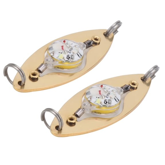 Rupoun 2Pcs Fishing LED Lure Light Eye Shape Colorful Flashing Light Bait Underwater Lure Lamp
