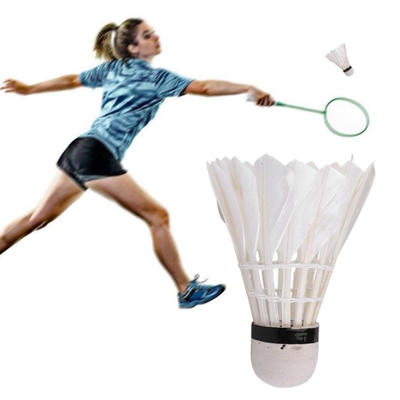 Rupoun 3pcs Premium Goose Feather Shuttlecocks Badminton Ball Game Training Equipment Set for Indoor Outdoor Sports Activities Portable Storage Tube Included White