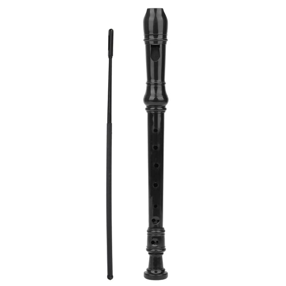 Rupoun 8-Hole G Key Clarinet Recorder Complete Beginner Kit with Cleaning Rod, Premium ABS Plastic Musical Woodwind Instrument for Kids Early Education, Black, 12.99 inches / 33 cm