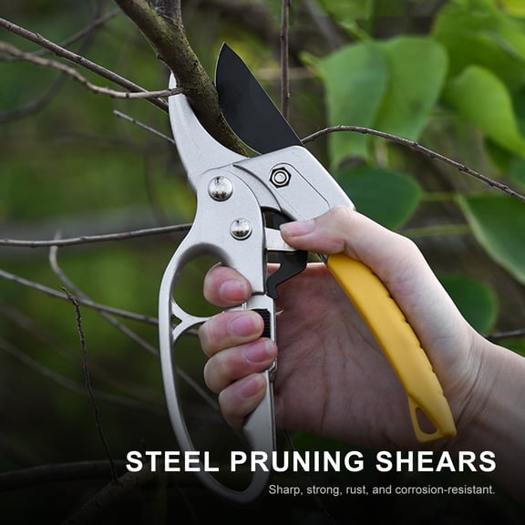 Rupoun Alloy Steel Bypass Pruning Shears Secateurs with Non-Stick Teflon Blade, Safety Lock and Comfort Grip Handle for Garden Plants, 11 inches / 28 cm