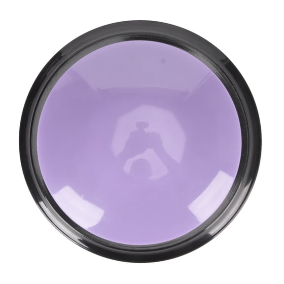Rupoun Educational Pet Recordable Talking Button Dog Voice Command Buzzer 30 Seconds Playback Interactive Training Clicker Purple (3.54 in / 9 cm)