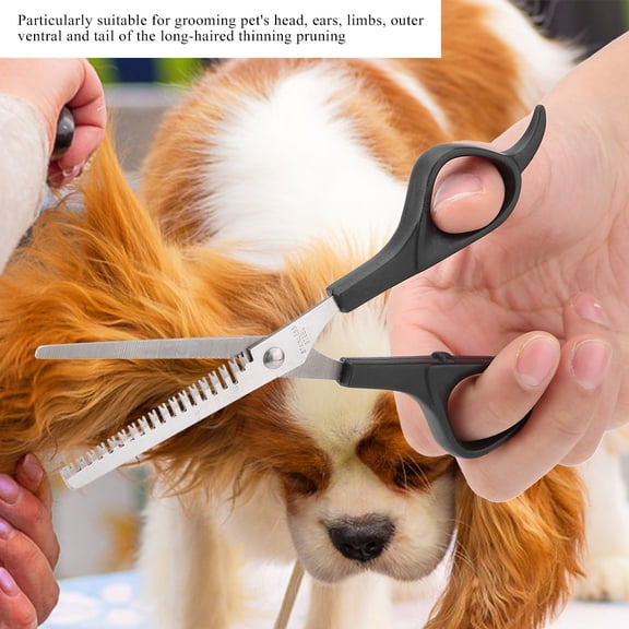Rupoun Professional Pet Dog Cat Grooming Hair Thinning Scissor Premium Stainless Steel Tooth Shear Barber Hairdressing Scissors Razor Sharp Edges for Fine Fur Trimming (6.5 inches / 16.5 cm)