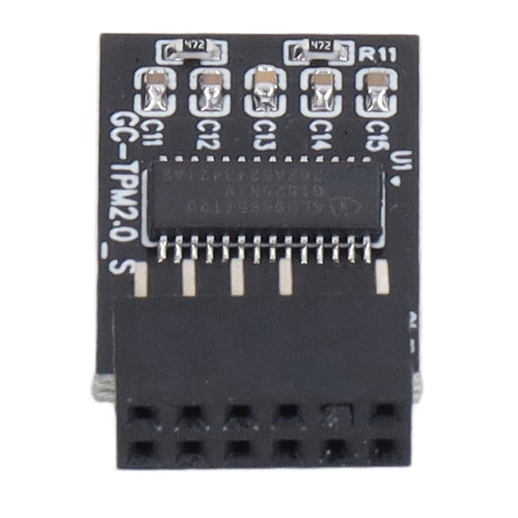 Rupoun TPM 2.0 Module LPC SPI 12Pin Remote Card Encryption Security Board Accessory Replacement Part for GIGABYTE Motherboards, Black Color, 14mm / 0.55 inches Width, Desktop Component