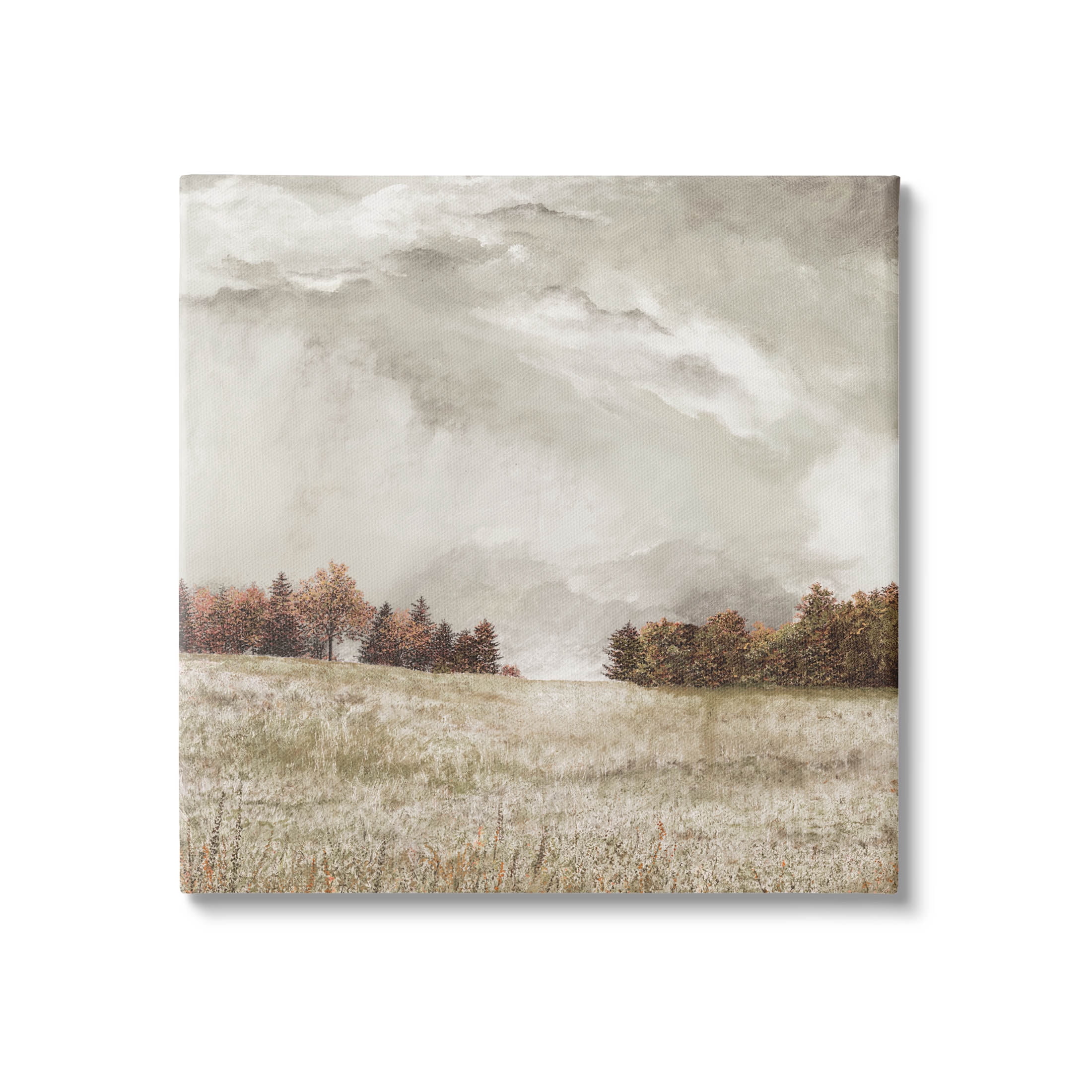 Rural Cloudy Countryside Meadow Landscape Graphic Art Gallery Wrapped Canvas Print Wall Art