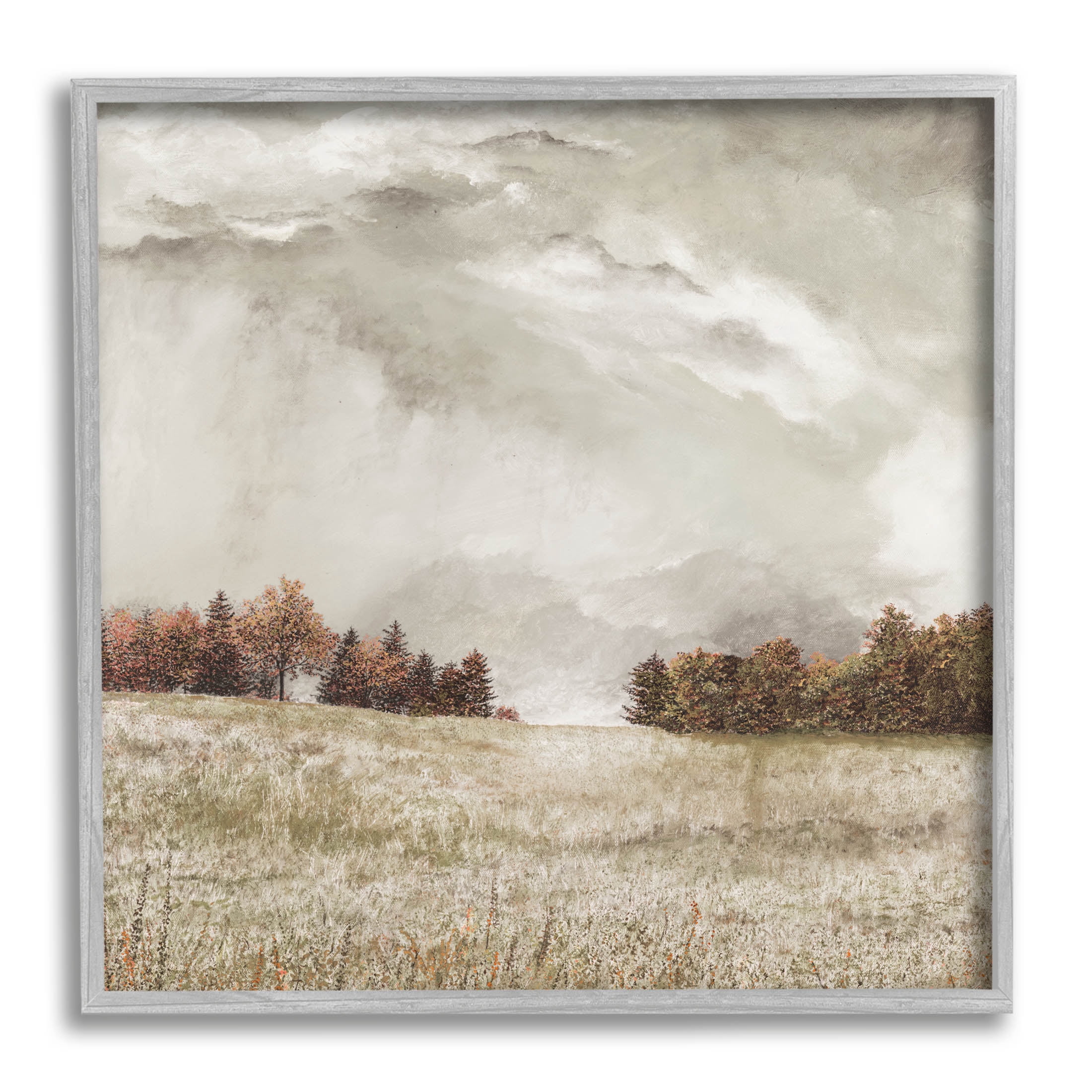 Rural Cloudy Countryside Meadow Landscape Graphic Art Gray Framed Art Print Wall Art