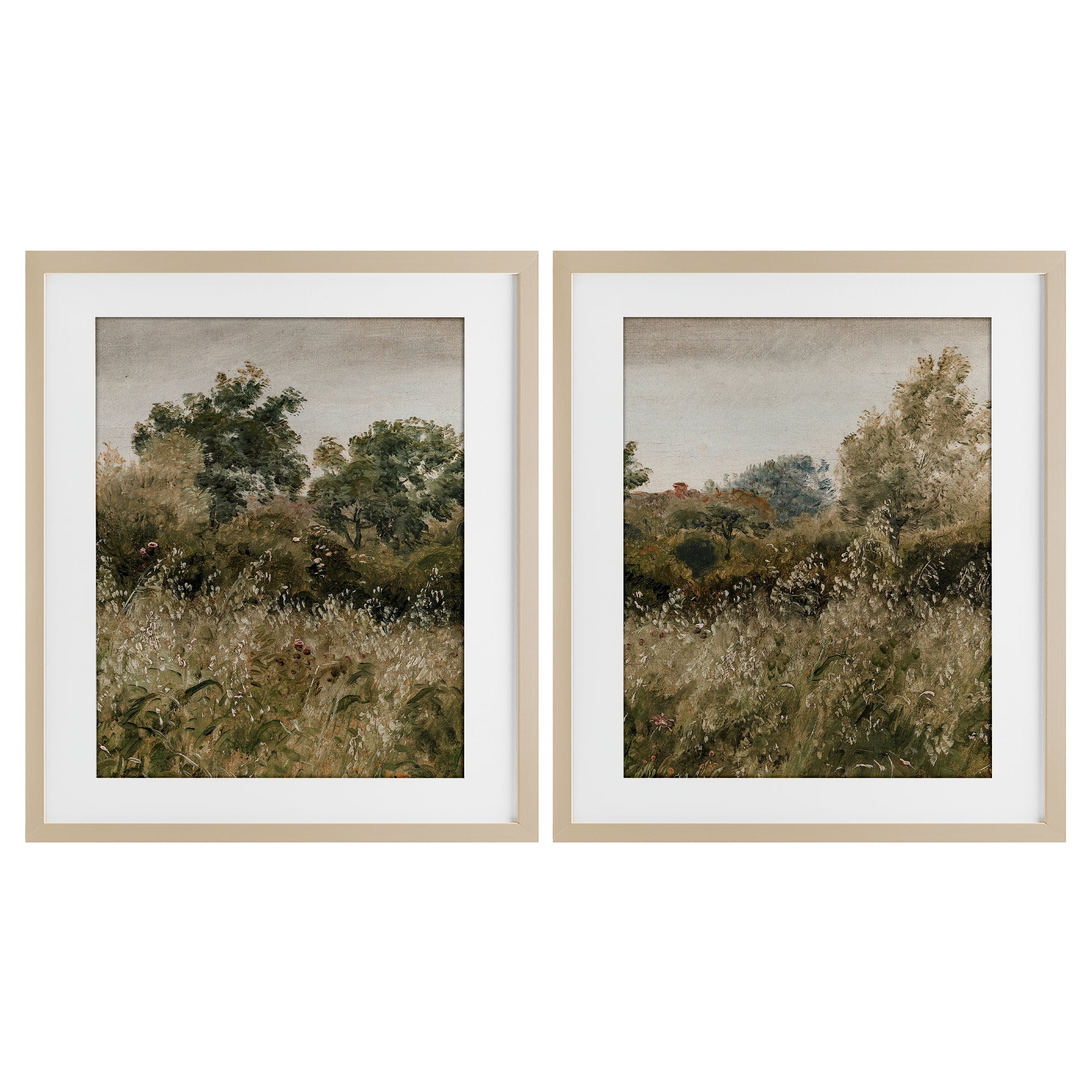 Rural Foliage Thicket 2 Piece Birch Framed Print Under Glass Set, design by Lettered and Lined