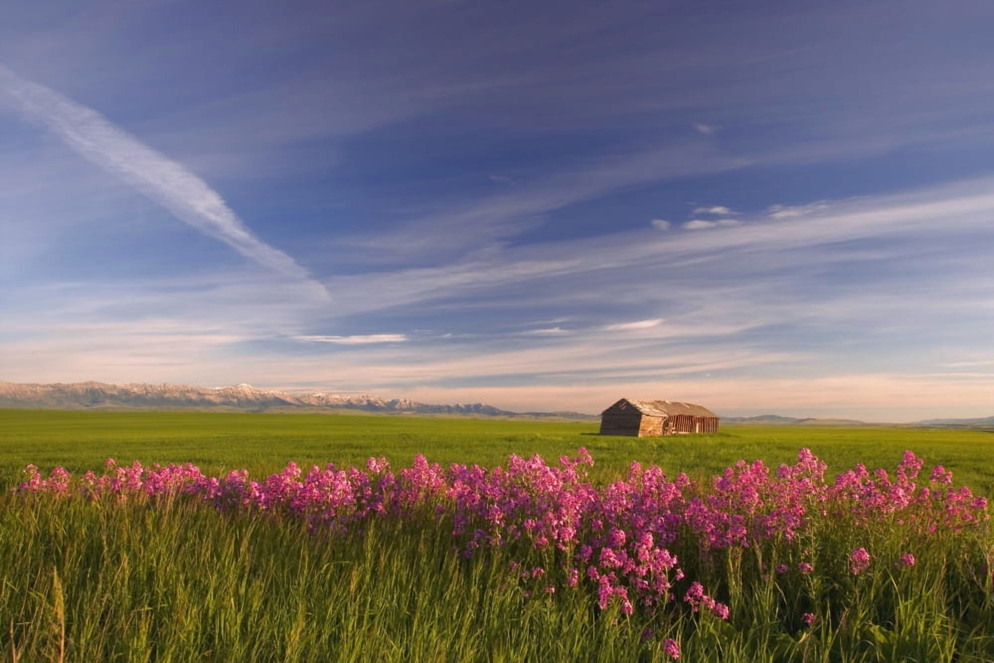 Rural Landscape Alberta Canada Canvas Art - Carson Ganci Design Pics (34 x 22)