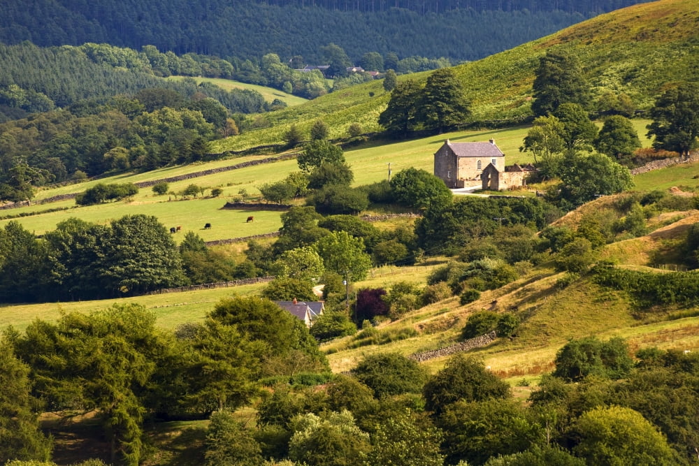 Rural Landscape Yorkshire England Uk Canvas Art - John Short Design Pics (18 x 12)