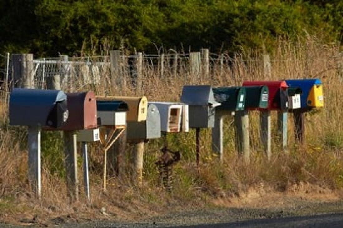 Rural Letterboxes Otago Peninsula Dunedin South Island New Zealand Canvas Art - David Wall DanitaDelimont (26 x 18)