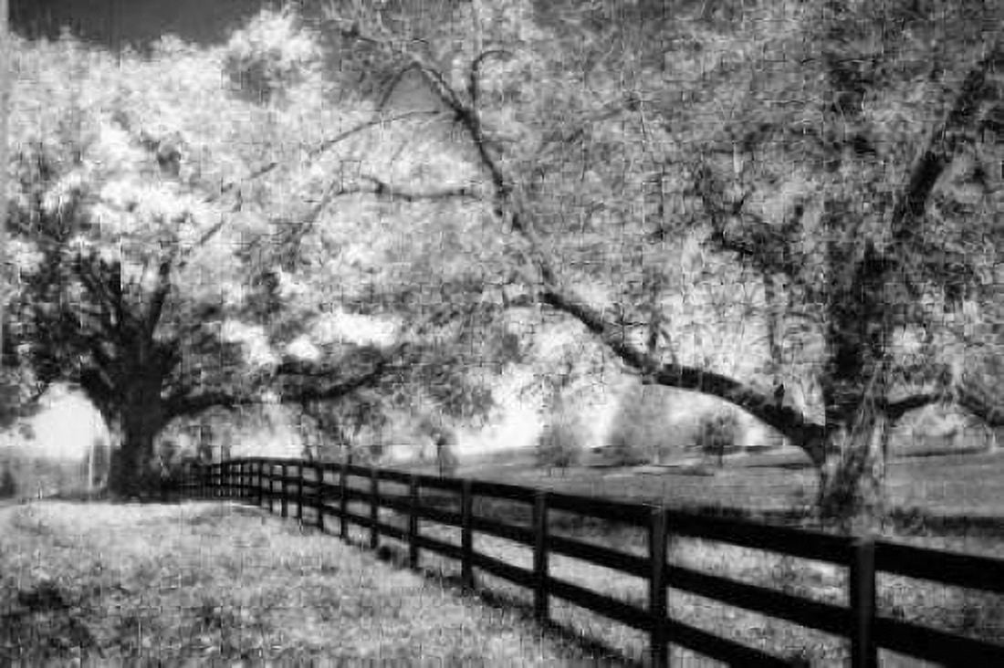 Rural Route III3 I Canvas Art - Alan Hausenflock (20 x 28)