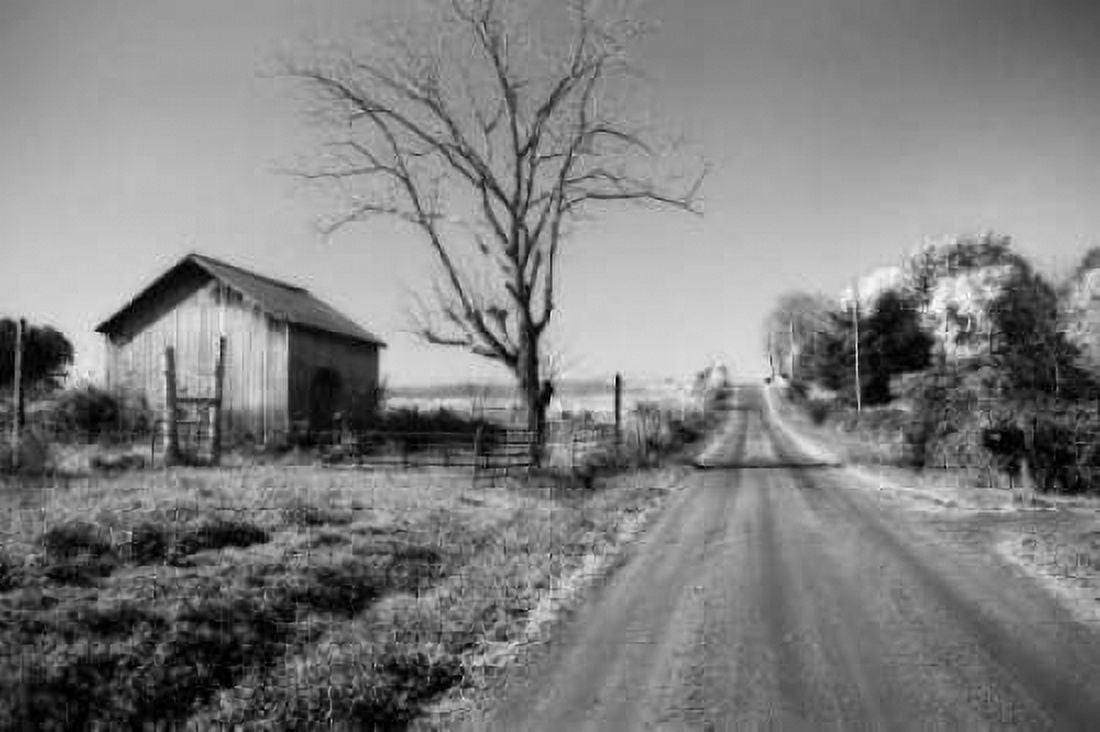 Rural Route VI32 I Canvas Art - Alan Hausenflock (20 x 28)