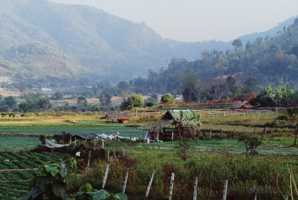 Rural Scene Near Chiang Mai Thailand Canvas Art - Bilderbuch Design Pics (36 x 24)