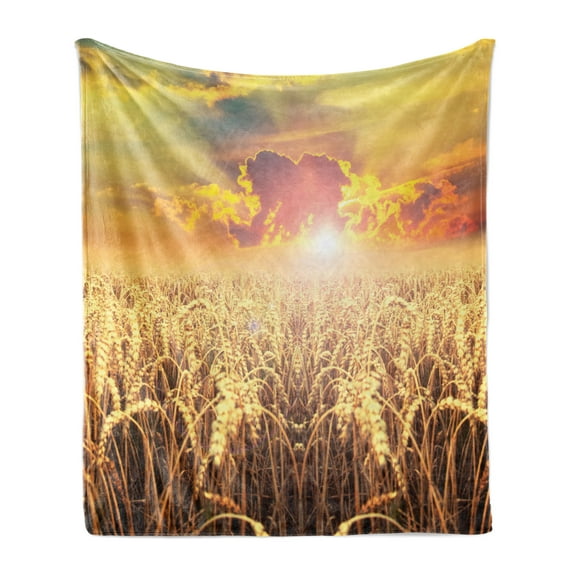 Rural Soft Flannel Fleece Throw Blanket, Sunset Scenery of a Anther Field Photo, Cozy Plush for Indoor and Outdoor Use, 70" x 90", Sand Brown Multicolor, by Ambesonne