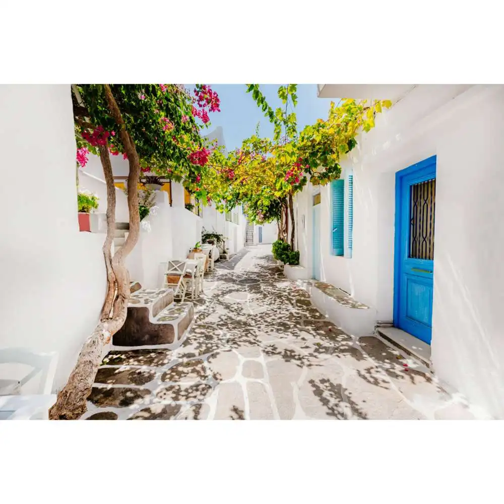 Rural Town Spring Village Country Photography Backdrop Gard Flower ...