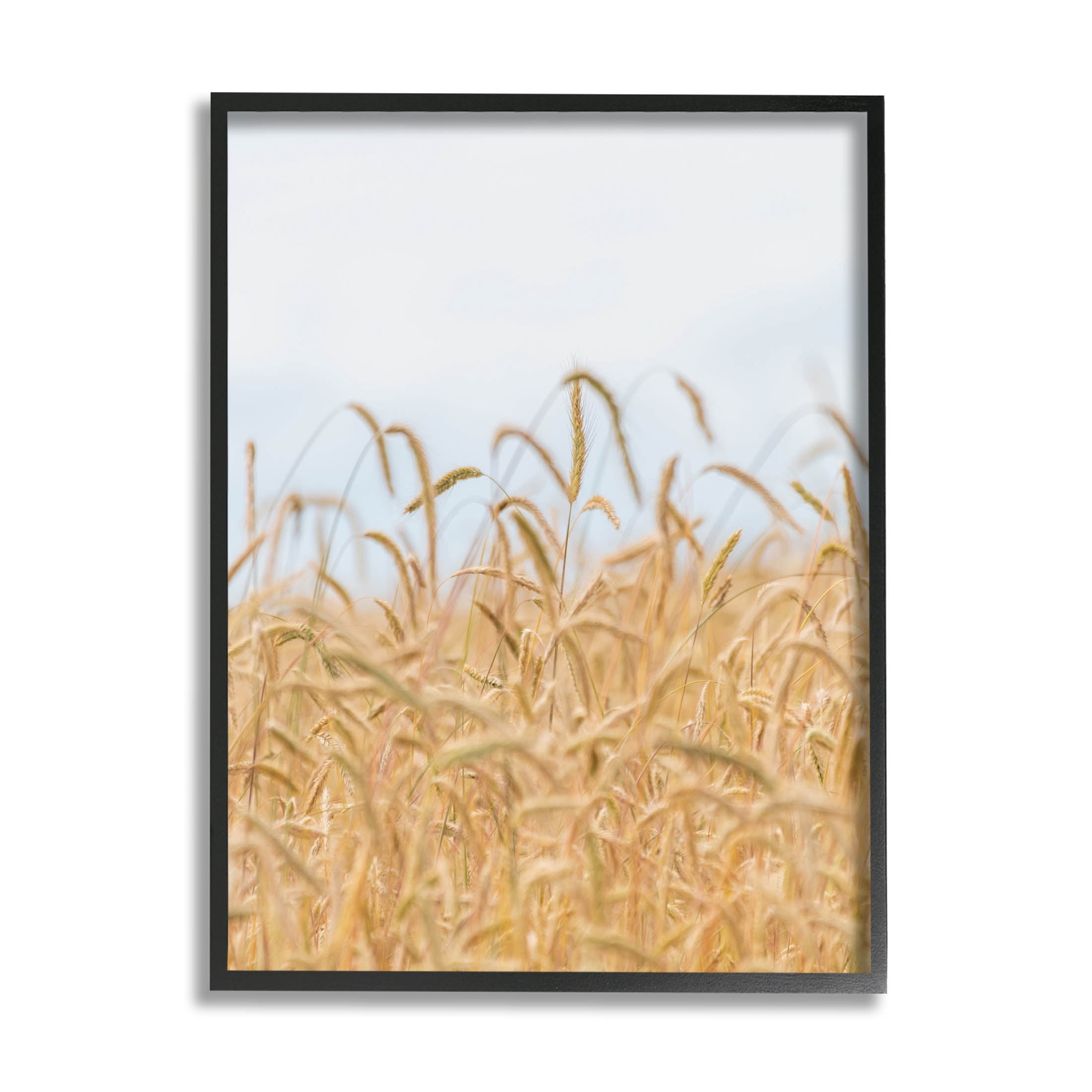 Rural Wheat Field Crops Landscape Photograph Black Framed Art Print Wall Art