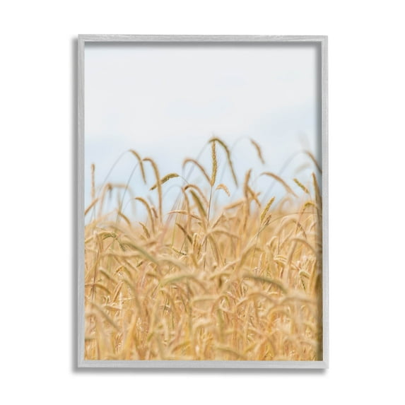Rural Wheat Field Crops Landscape Photograph Gray Framed Art Print Wall Art
