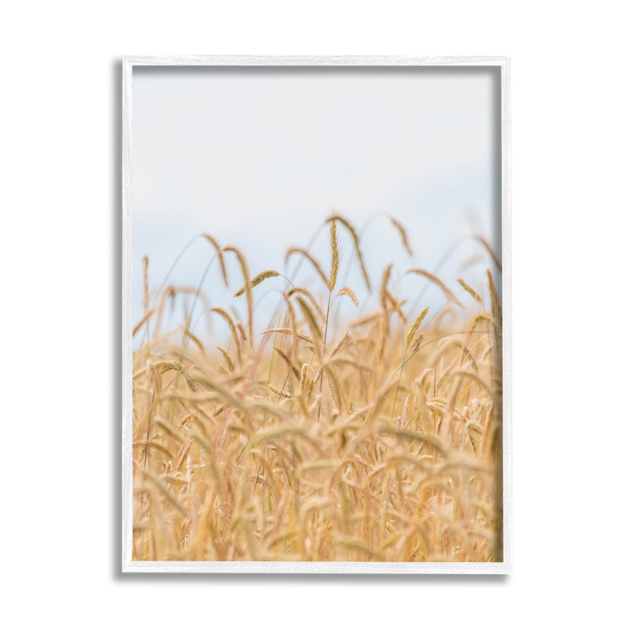 Rural Wheat Field Crops Landscape Photograph White Framed Art Print ...