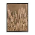 thumbnail image 1 of Rural Wheat Field Nature Botanical & Floral Photograph Black Framed Art Print Wall Art, 1 of 7