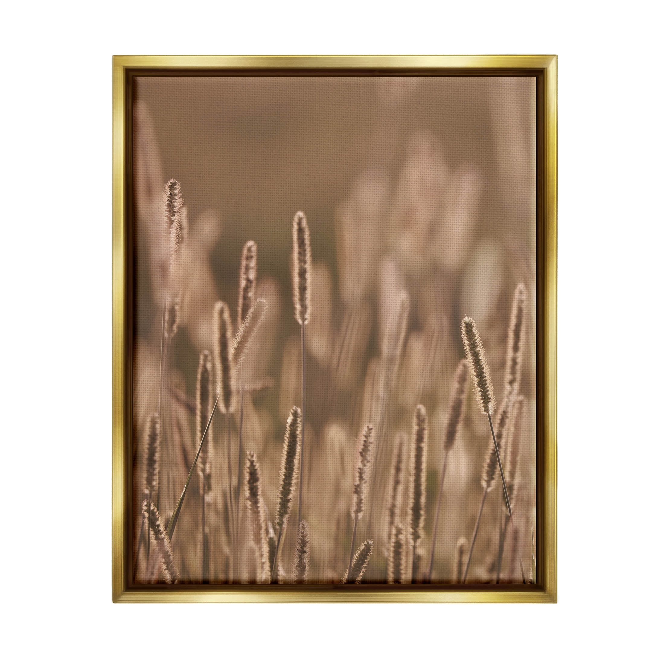 Rural Wheat Field Nature Botanical & Floral Photograph Metallic Gold Framed Art Print Wall Art