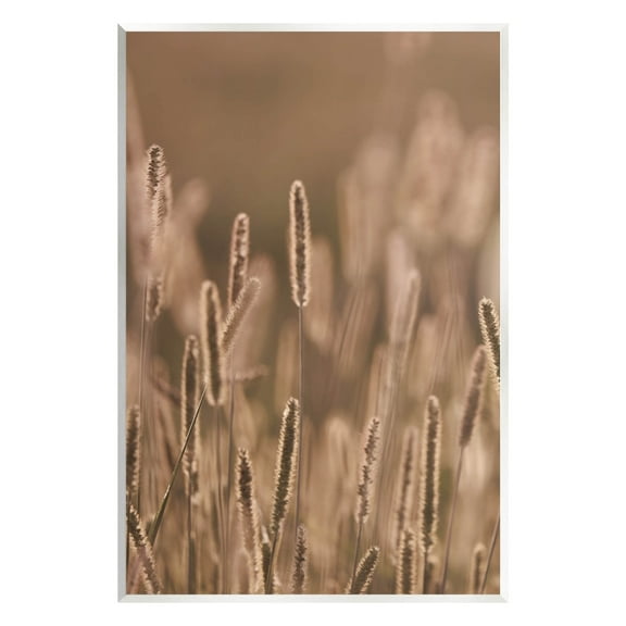 Rural Wheat Field Nature Botanical & Floral Photograph Unframed Art Print Wall Art